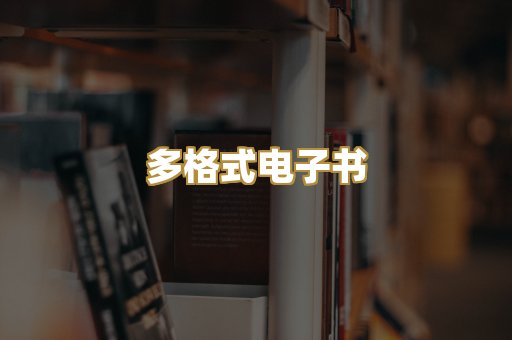 多格式电子书